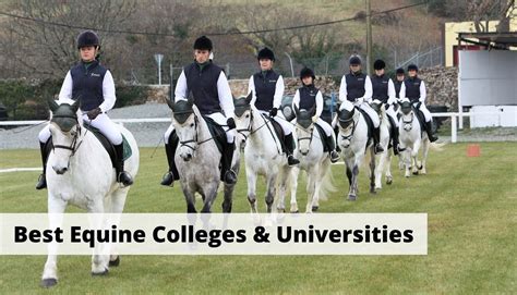 Colleges with horse mascots